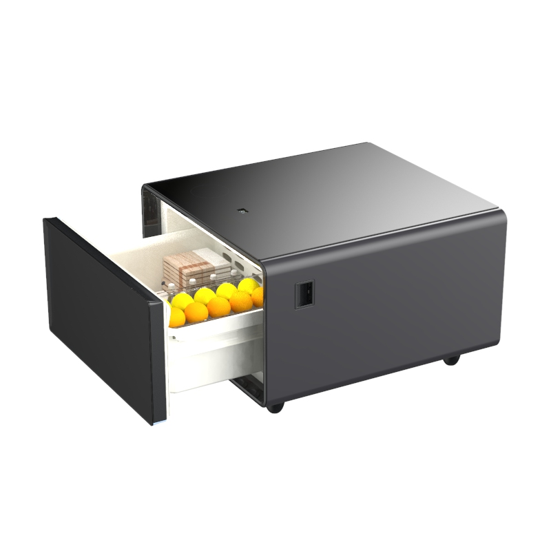 Косметический холодильник для  – обзор и цена Beauty Makeup Fridge