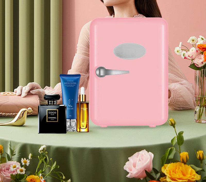 4л холодильники двойного назна – обзор и цена Beauty Makeup Fridge