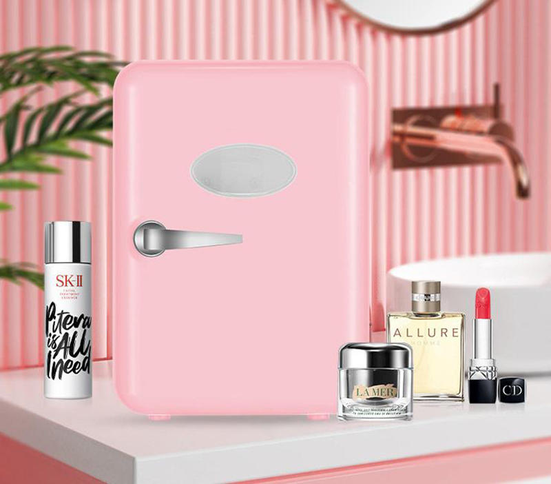 4л холодильники двойного назна – обзор и цена Beauty Makeup Fridge